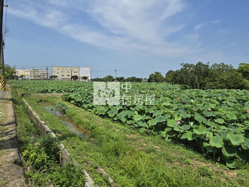 觀音【正新華路旁】16米路美農地269坪