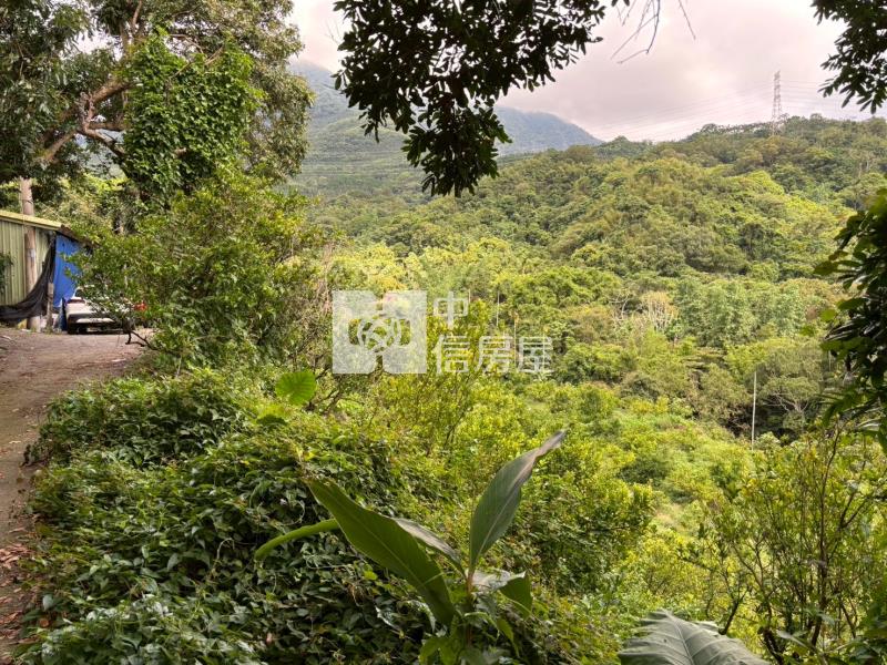 台南關子嶺1.4甲柑橘果園農牧用地房屋室內格局與周邊環境