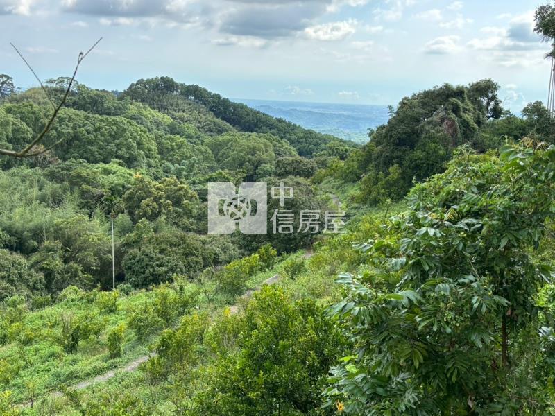 台南關子嶺1.4甲柑橘果園農牧用地房屋室內格局與周邊環境