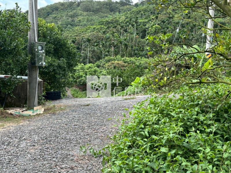 台南關子嶺1.4甲柑橘果園農牧用地房屋室內格局與周邊環境