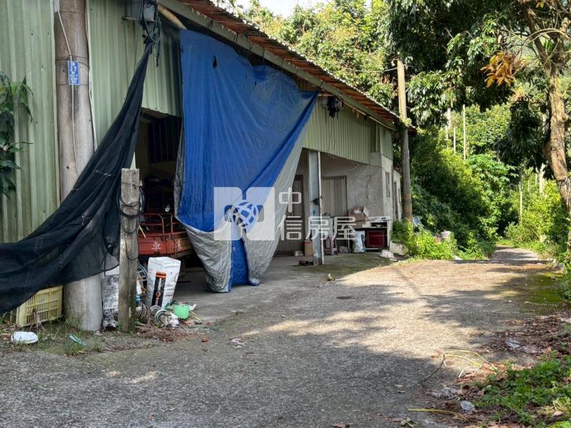 台南關子嶺1.4甲柑橘果園農牧用地房屋室內格局與周邊環境