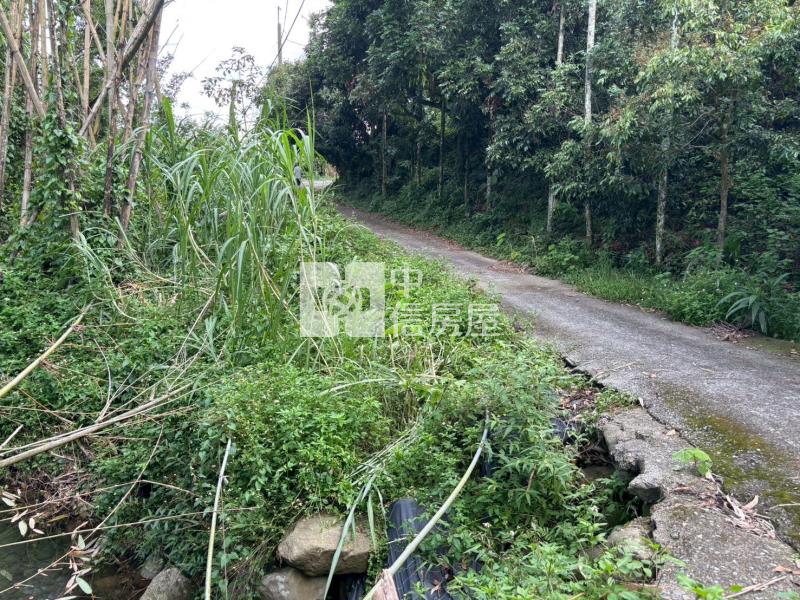 台南關子嶺1.4甲柑橘果園農牧用地房屋室內格局與周邊環境