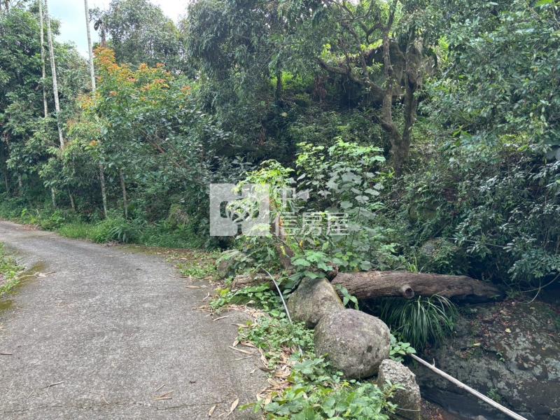 台南關子嶺1.4甲柑橘果園農牧用地房屋室內格局與周邊環境