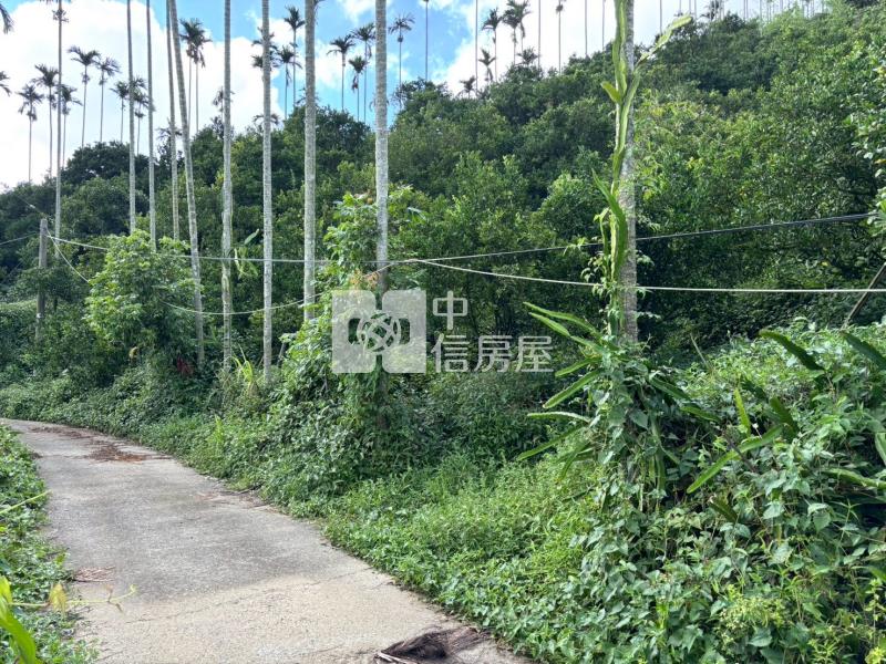 台南關子嶺1.4甲柑橘果園農牧用地房屋室內格局與周邊環境