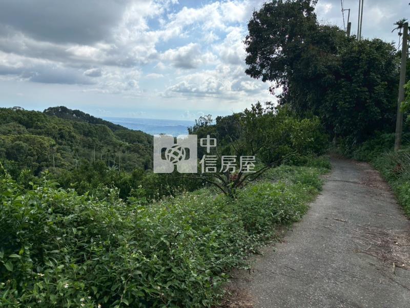 台南關子嶺1.4甲柑橘果園農牧用地房屋室內格局與周邊環境