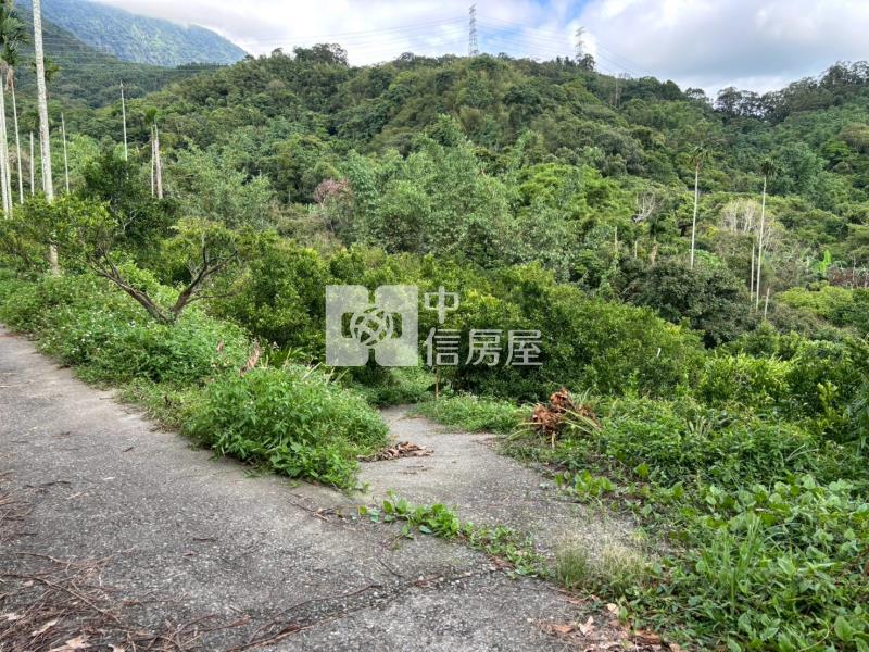台南關子嶺1.4甲柑橘果園農牧用地房屋室內格局與周邊環境