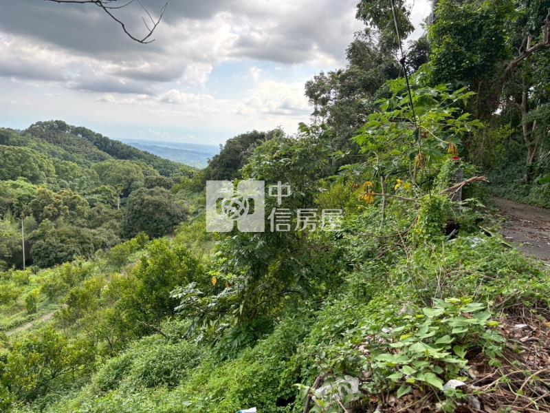 台南關子嶺1.4甲柑橘果園農牧用地房屋室內格局與周邊環境