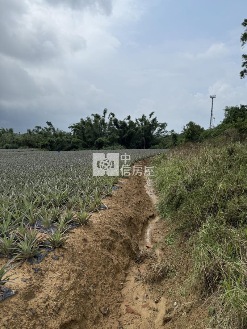 專-關廟下湖段1坪5000元大坪數農地房屋室內格局與周邊環境