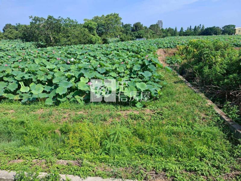 觀音新華路12米路美農地房屋室內格局與周邊環境