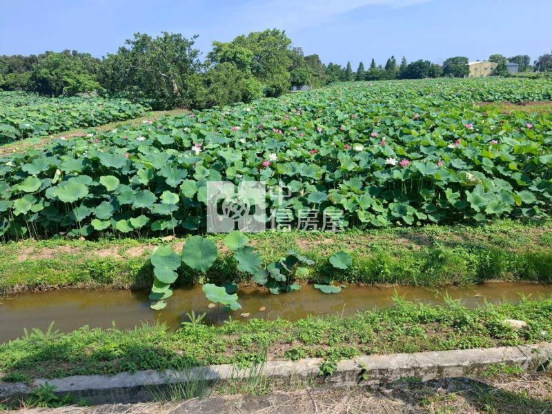 觀音新華路12米路美農地房屋室內格局與周邊環境