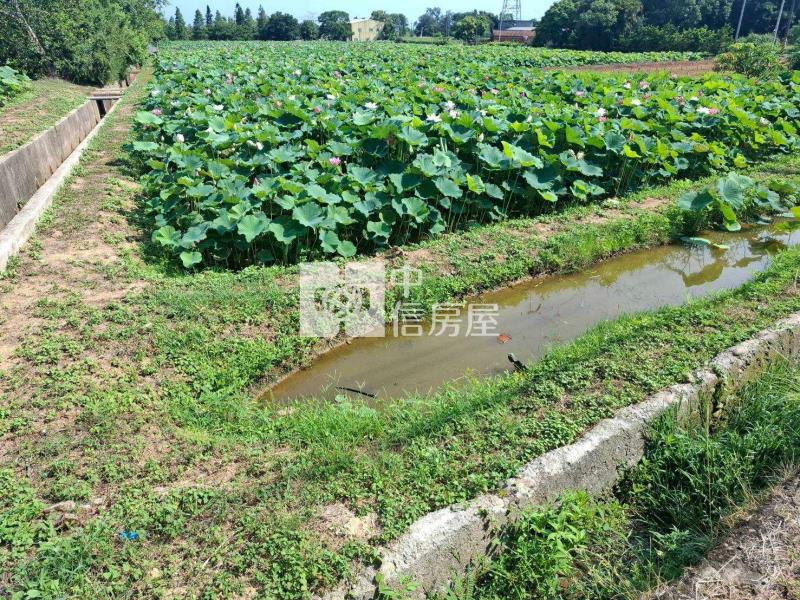 觀音新華路12米路美農地房屋室內格局與周邊環境