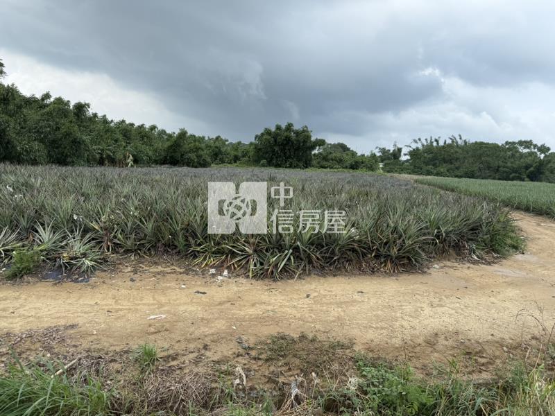 專-關廟下湖段1.48分農地房屋室內格局與周邊環境