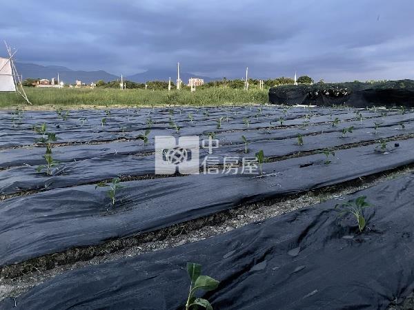 新埤都計農地房屋室內格局與周邊環境