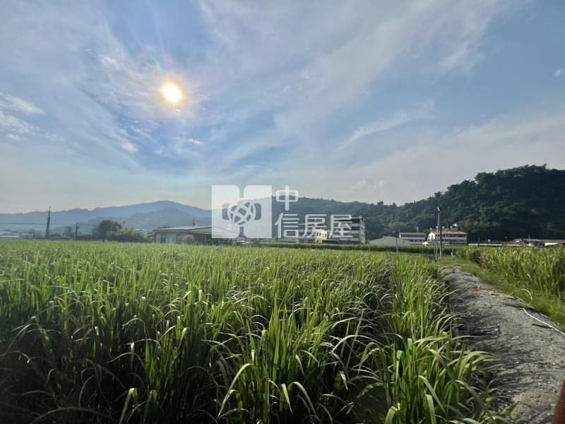 向善誠售美地房屋室內格局與周邊環境