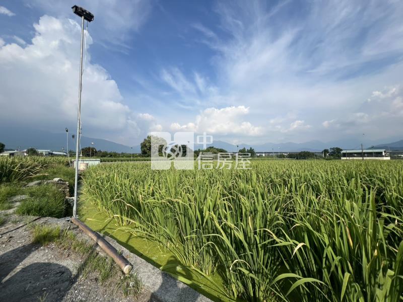 向善誠售美地房屋室內格局與周邊環境