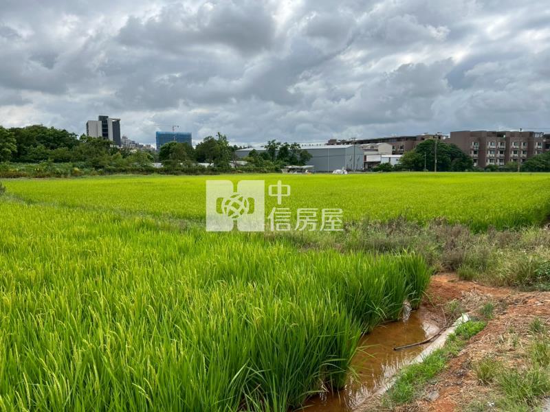 南方莊園方正美田房屋室內格局與周邊環境