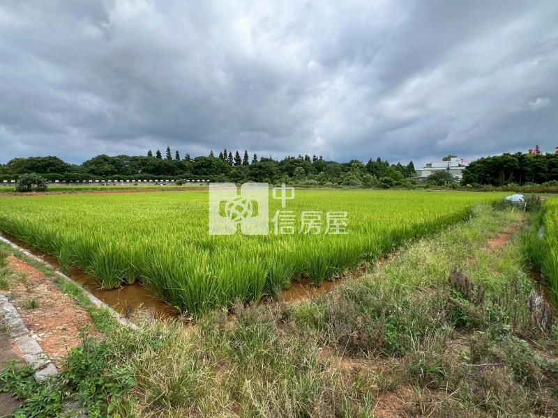 南方莊園方正美田房屋室內格局與周邊環境