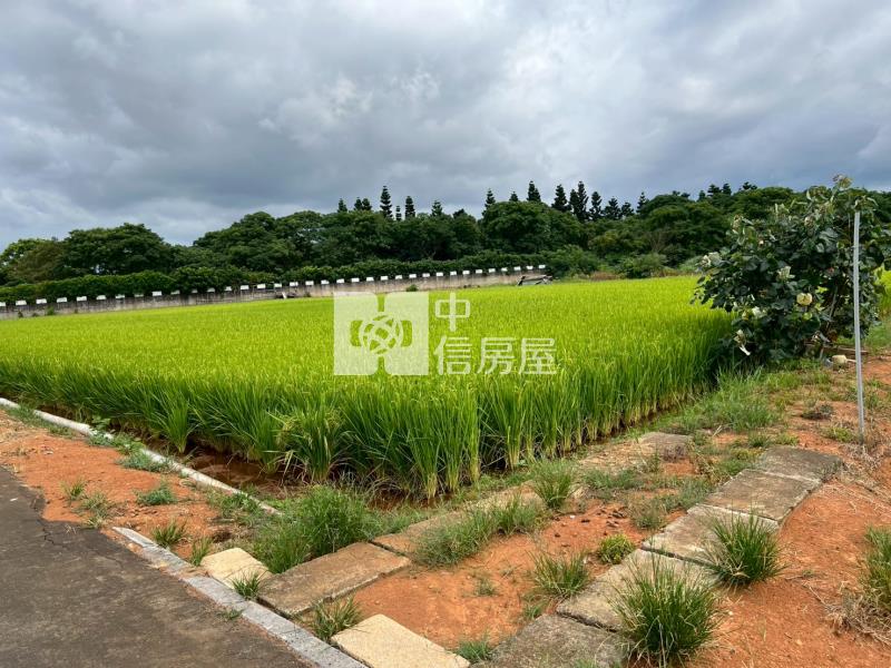 南方莊園方正美田房屋室內格局與周邊環境