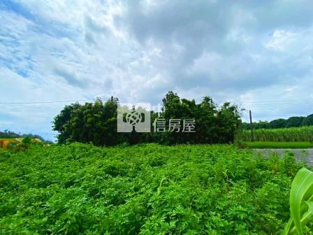 屏東土地-市區漂亮農地(海豐)房屋室內格局與周邊環境