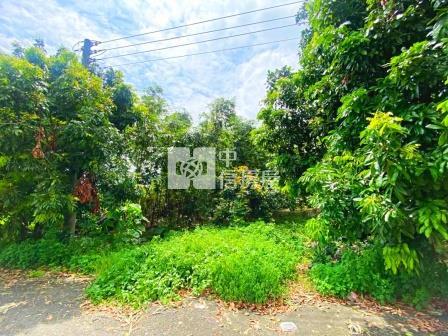 屏東土地-市區漂亮農地(海豐)房屋室內格局與周邊環境