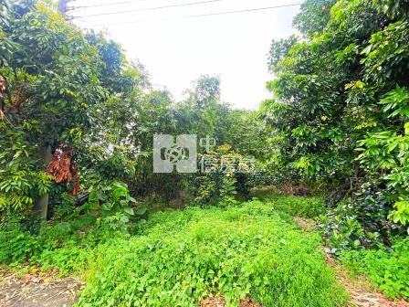 屏東土地-市區漂亮農地(海豐)房屋室內格局與周邊環境