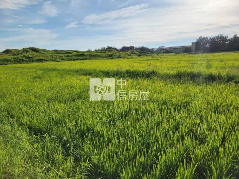 新屋濱海61快速道路旁一般農農地房屋室內格局與周邊環境