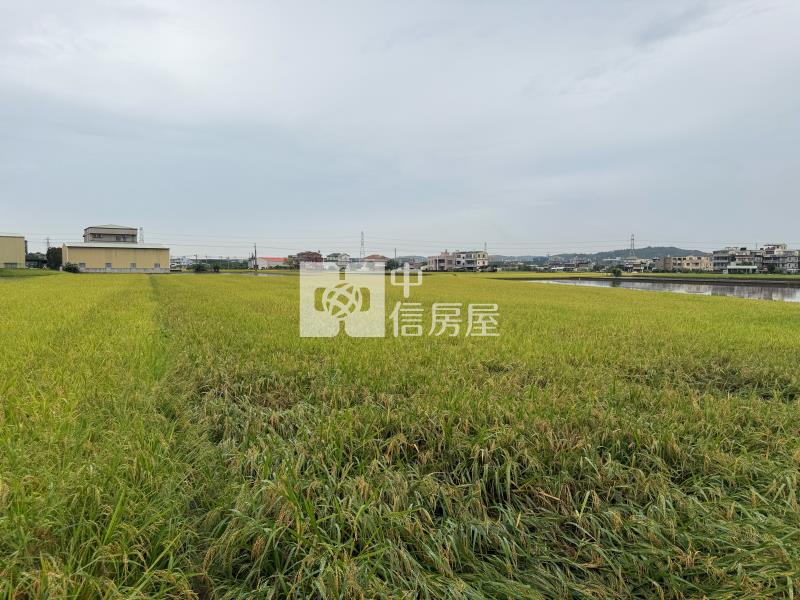 【安家】苗栗高鐵特定區計劃-都計內農地I房屋室內格局與周邊環境