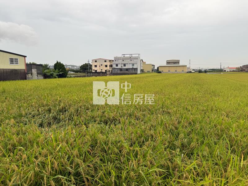 【安家】苗栗高鐵特定區計劃-都計內農地I房屋室內格局與周邊環境