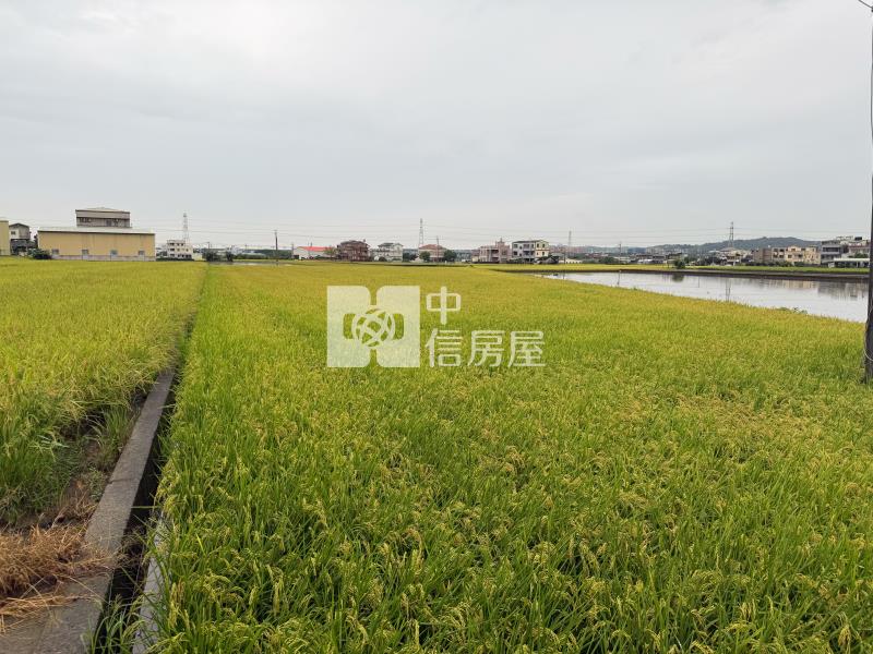 【安家】苗栗高鐵特定區計劃-都計內農地I房屋室內格局與周邊環境