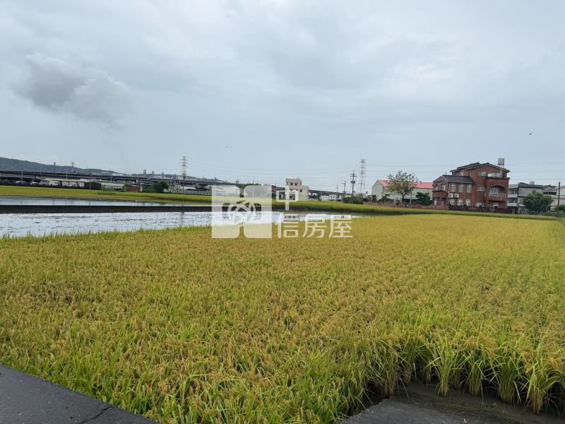 【安家】苗栗高鐵特定區計劃-都計內農地II房屋室內格局與周邊環境