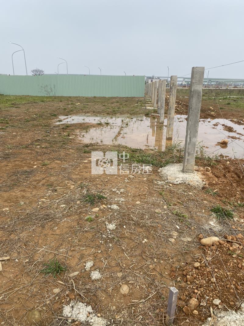 【安家】航空城安置街廓建地房屋室內格局與周邊環境
