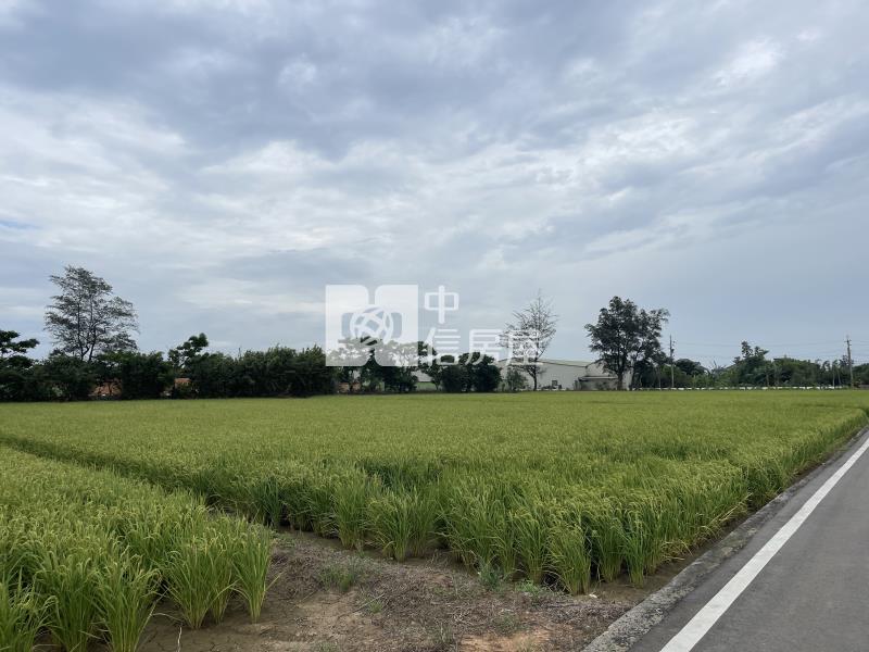 觀音-育仁路農地房屋室內格局與周邊環境
