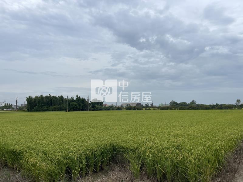 觀音-育仁路農地房屋室內格局與周邊環境