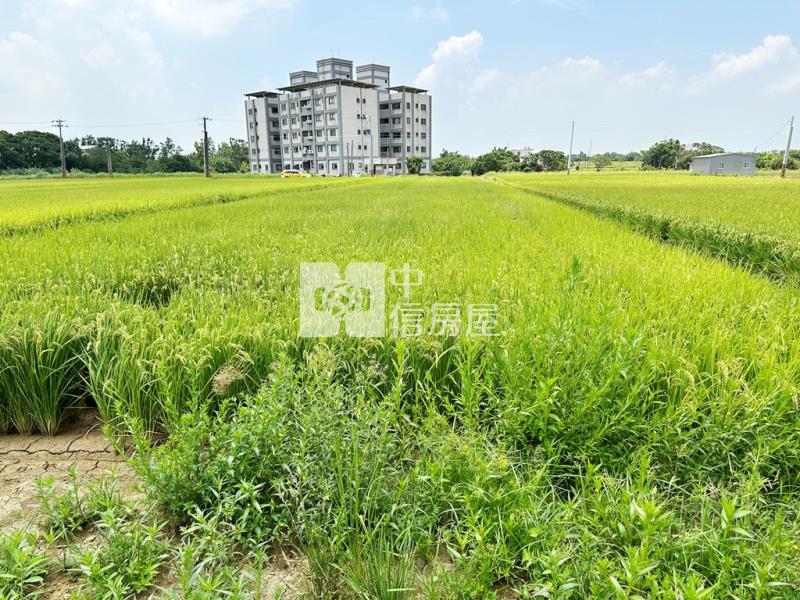 【新世紀】新屋清華高中美農地+資材室房屋室內格局與周邊環境