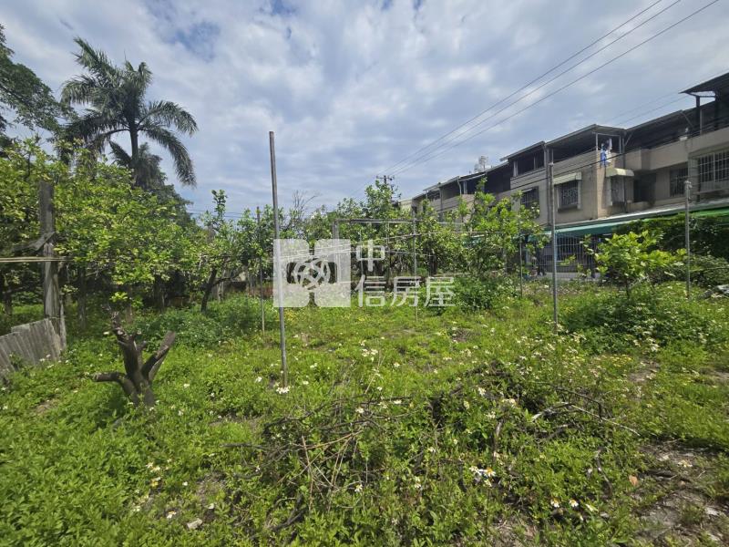 打造夢想中的退休養生宅地房屋室內格局與周邊環境