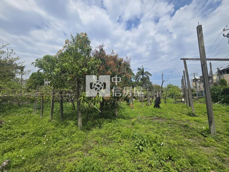 打造夢想中的退休養生宅地房屋室內格局與周邊環境