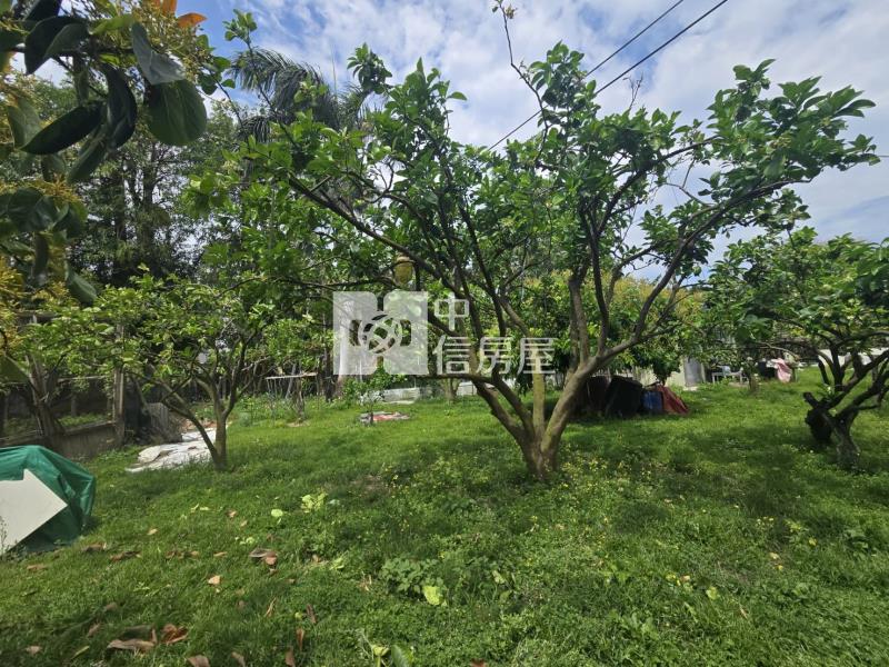 打造夢想中的退休養生宅地房屋室內格局與周邊環境