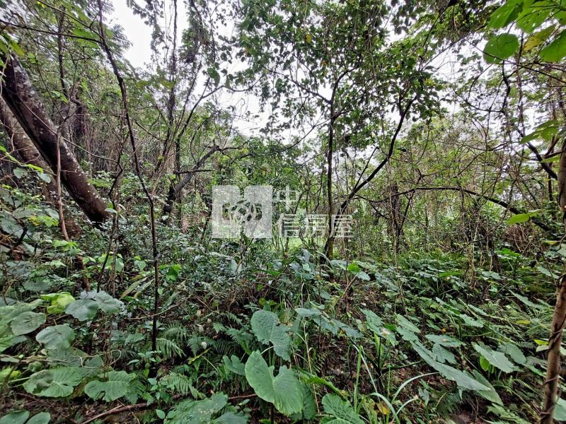大溪半屏山農地房屋室內格局與周邊環境