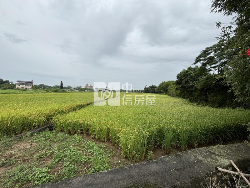 【安家】龍潭739坪美農地房屋室內格局與周邊環境
