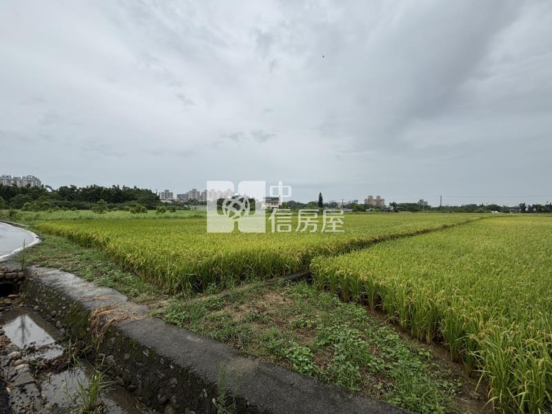 【安家】龍潭739坪美農地房屋室內格局與周邊環境