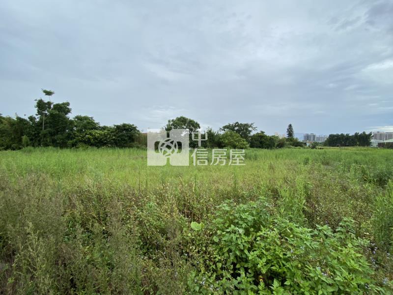 【新世紀】捷運綠線G02站持分農地房屋室內格局與周邊環境
