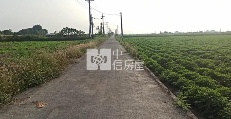 善化東勢寮2.4分方正農地房屋室內格局與周邊環境