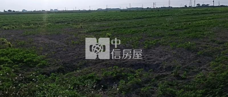 善化東勢寮2.4分方正農地房屋室內格局與周邊環境