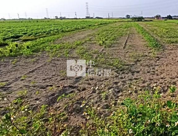 善化東勢寮2.4分方正農地房屋室內格局與周邊環境