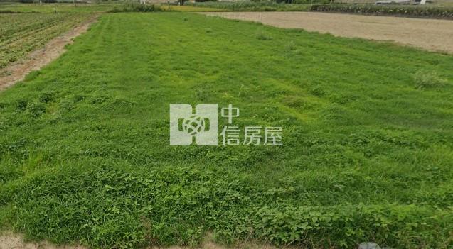 善化東勢寮2.4分方正農地房屋室內格局與周邊環境