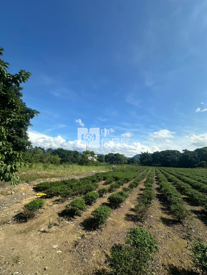 龍潭近客家文化館美農地房屋室內格局與周邊環境