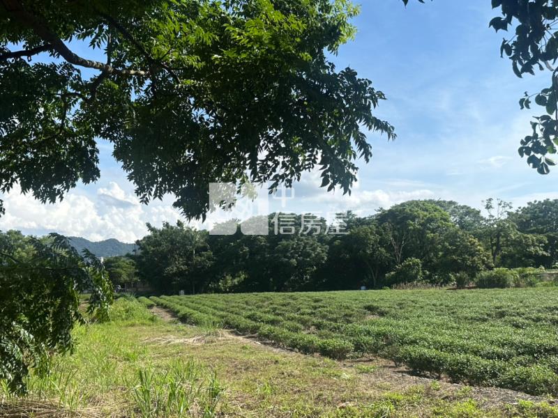 龍潭近客家文化館美農地房屋室內格局與周邊環境