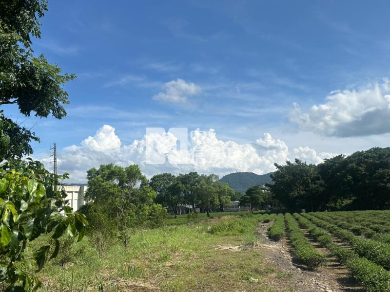 龍潭近客家文化館美農地房屋室內格局與周邊環境