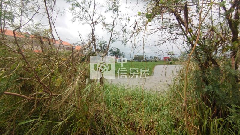 七股雙面臨路美農地房屋室內格局與周邊環境