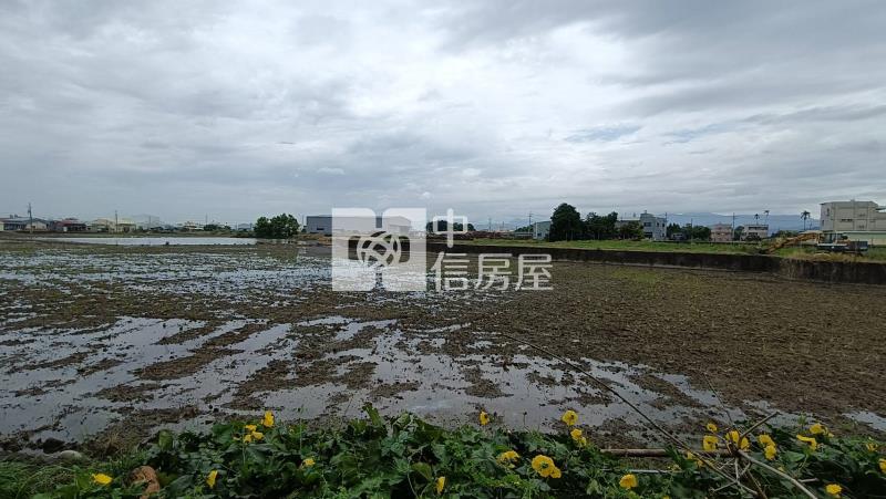 霧峰大面寬臨8米路農地房屋室內格局與周邊環境